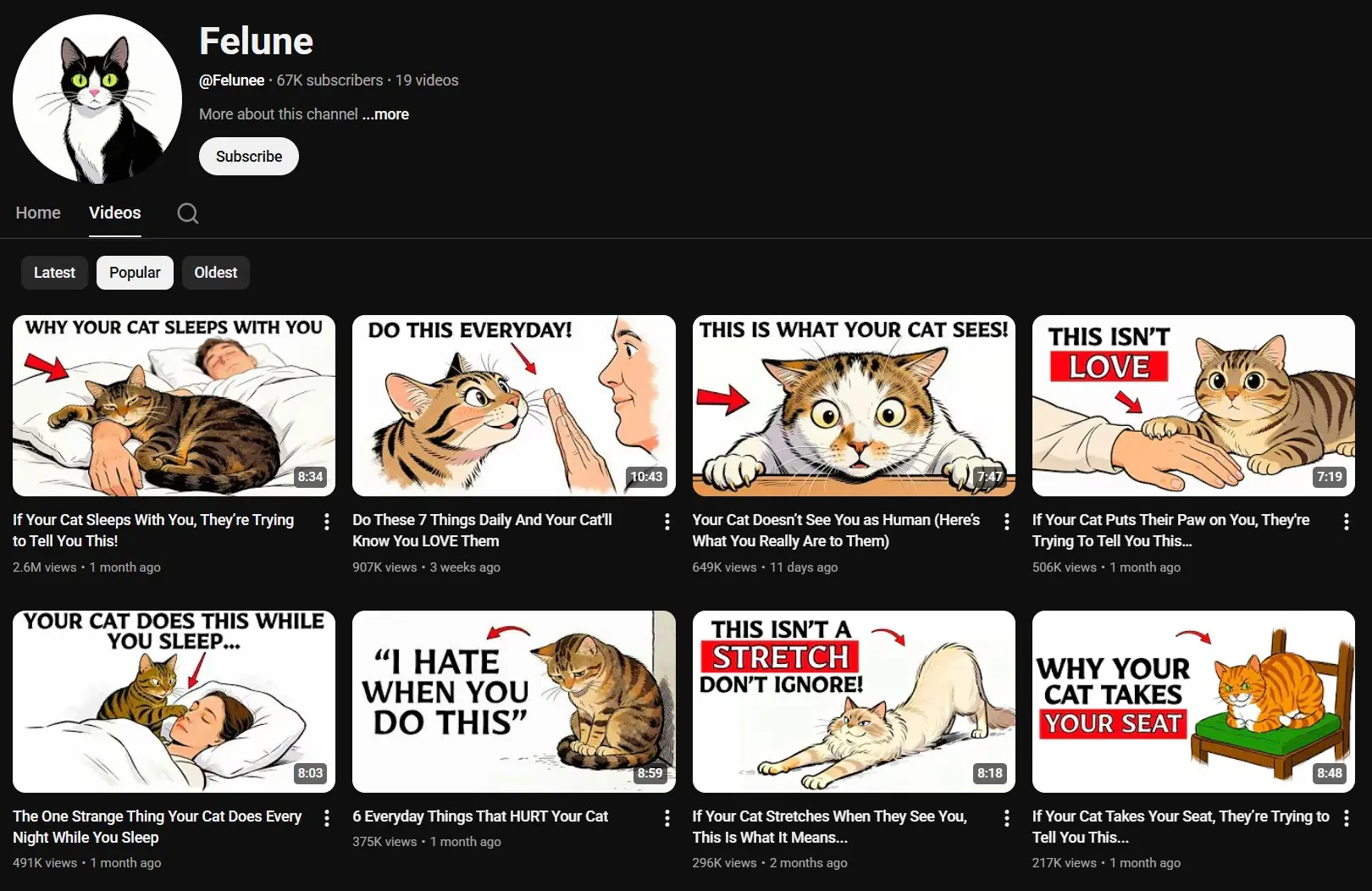Felune YouTube channel thumbnail examples